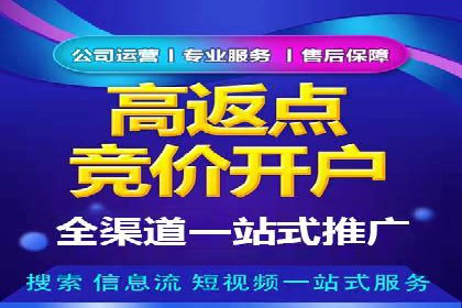 百度竞价排名优化技巧与成功案例分享